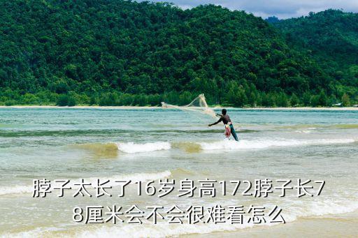 脖子太長了16歲身高172脖子長78厘米會不會很難看怎么