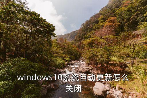 windows10系統(tǒng)自動更新怎么關(guān)閉