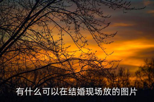 有什么可以在結(jié)婚現(xiàn)場(chǎng)放的圖片