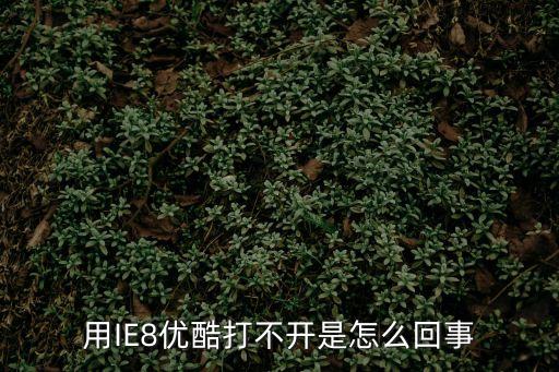 優酷打不開，優酷視頻打不開其他網頁都可以看怎么辦