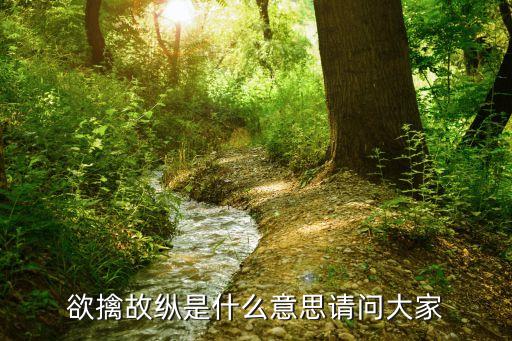 欲擒故縱是什么意思請問大家