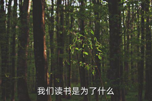 讀書為了什么，讀書是為了什么