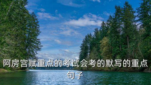 阿房宮賦重點(diǎn)的考試會考的默寫的重點(diǎn)句子