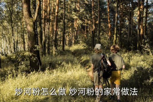 家常炒河粉，炒河粉怎么做 炒河粉的家常做法