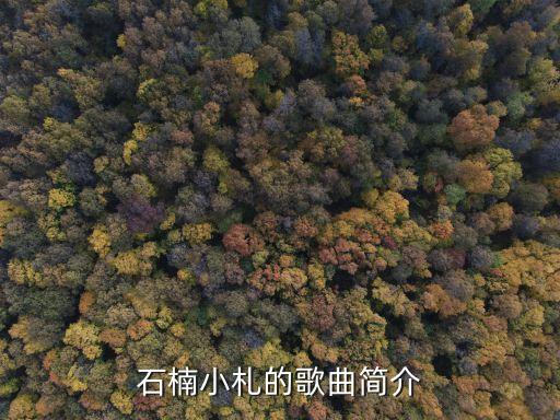 石楠小札的歌曲簡介