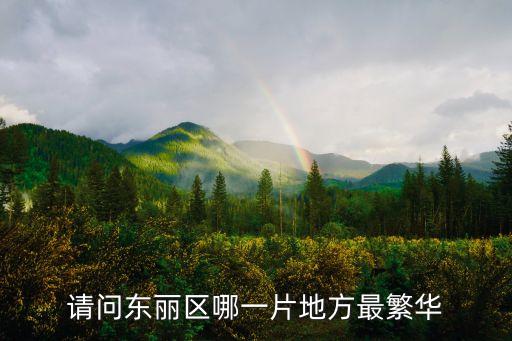 請問東麗區哪一片地方最繁華