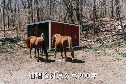 抽煙的檢討書，抽煙檢討怎么寫200字