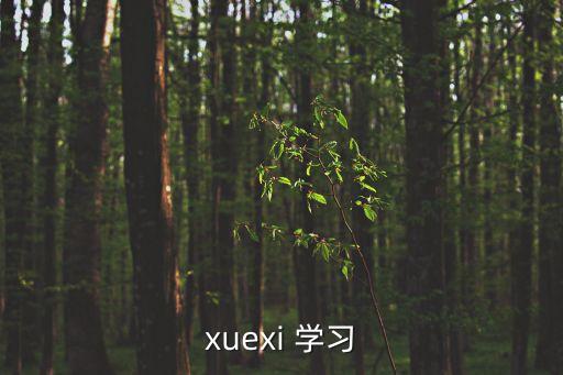 xuexi 學習