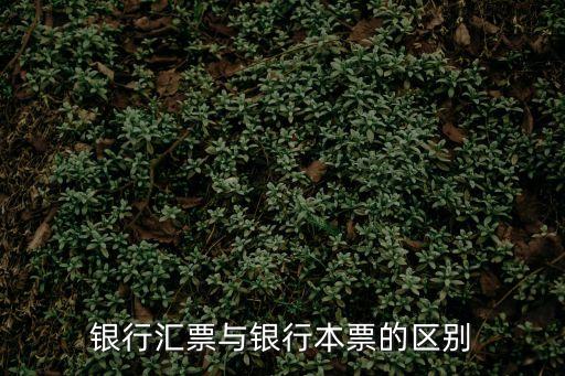 銀行匯票與銀行本票的區別