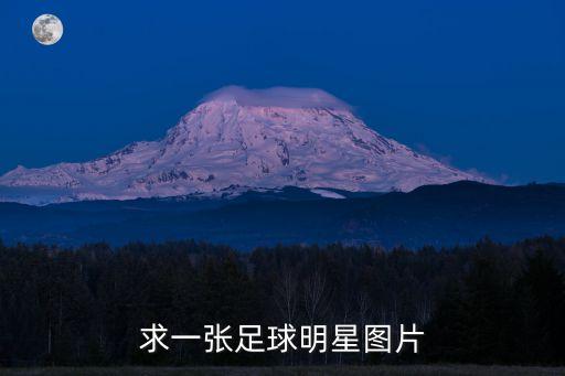 求一張足球明星圖片