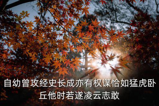 唐末農民起義，唐朝末年的農民起義是什么