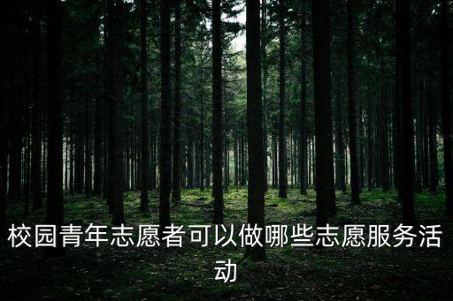 校園青年志愿者可以做哪些志愿服務活動