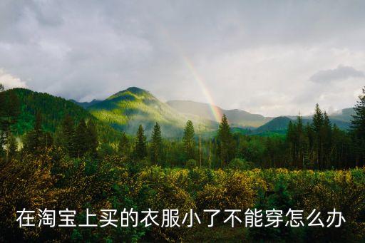 在淘寶上買的衣服小了不能穿怎么辦