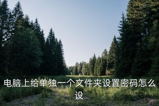 電腦上給單獨(dú)一個(gè)文件夾設(shè)置密碼怎么設(shè)