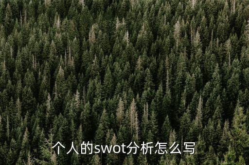 個人的swot分析怎么寫
