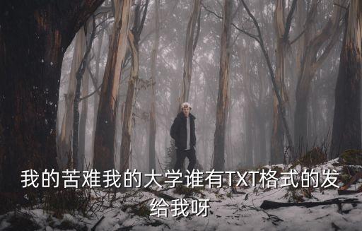 我的苦難我的大學，我的苦難我的大學誰有TXT格式的發給我呀