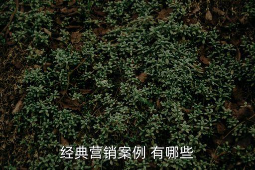 營銷經(jīng)典案例，市場(chǎng)營銷案例