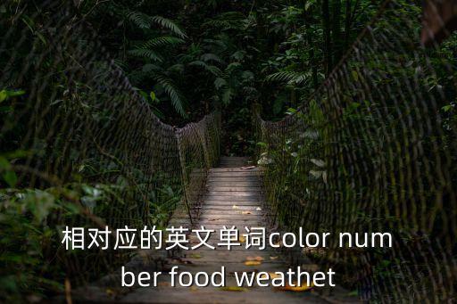 相對(duì)的英語，英語的相對(duì)詞是什么意思