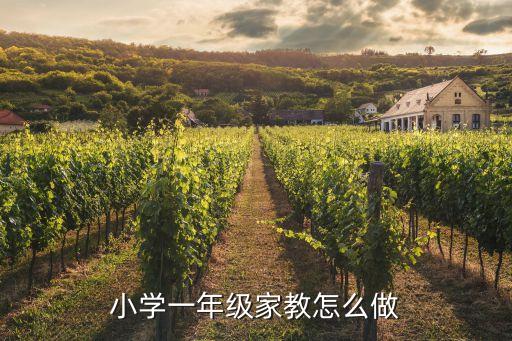 小學(xué)生家庭教育，小學(xué)一年級家教怎么做