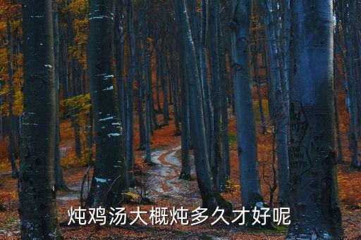燉雞湯大概燉多久才好呢