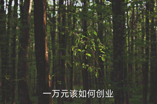 一萬元該如何創(chuàng)業(yè)