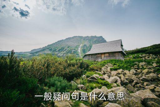 一般疑問句是什么意思