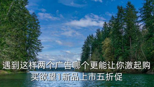 遇到這樣兩個廣告哪個更能讓你激起購買欲望1新品上市五折促
