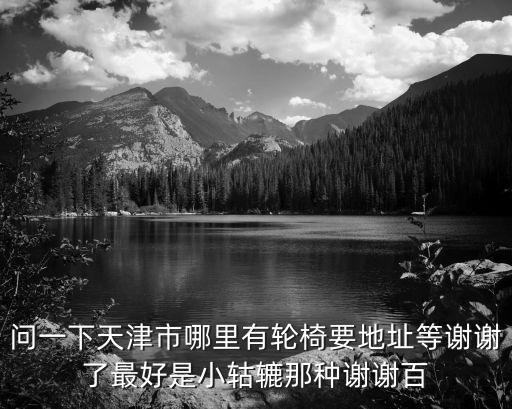 問一下天津市哪里有輪椅要地址等謝謝了最好是小轱轆那種謝謝百