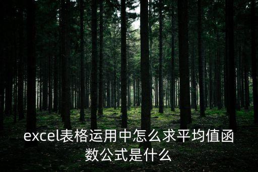 excel表格運用中怎么求平均值函數公式是什么