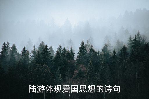 陸游體現愛國思想的詩句