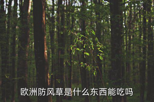 防風(fēng)中藥，能驅(qū)頭風(fēng)的中草藥有