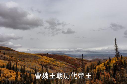 曹魏王朝歷代帝王