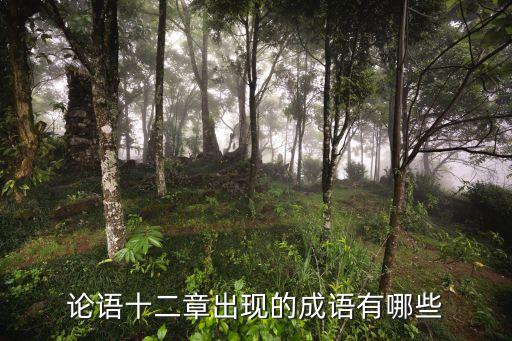 高中論語十二章，論語十二章意思