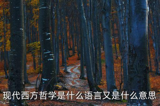 現代西方哲學是什么語言又是什么意思
