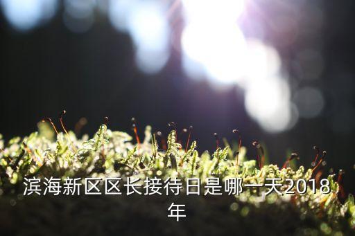 濱海新區(qū)區(qū)長接待日是哪一天2018年