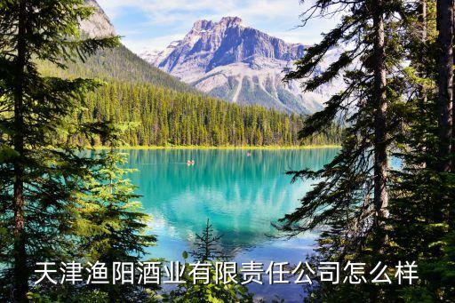 天津市漁陽酒業有限公司是國營還是民營企業，漁陽集團是國企嗎