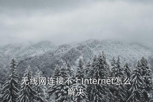 無(wú)線網(wǎng)連接不上Internet怎么解決