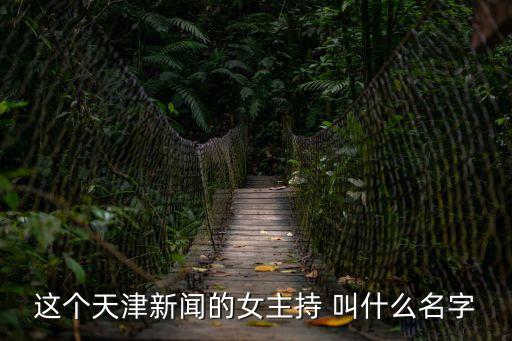 這個天津新聞的女主持 叫什么名字