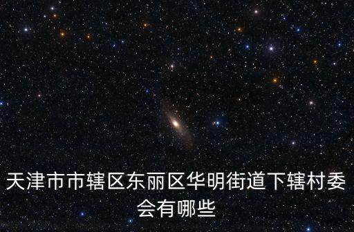 天津市東麗區華明金泰麗灣，金泰麗灣底下有菜市場嗎