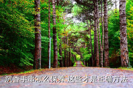 沉香手串怎么保養 這些才是正確方法