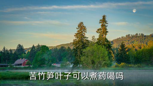 苦竹筍葉子可以煮藥喝嗎