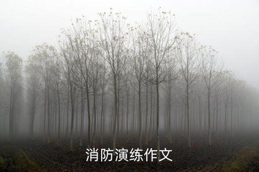 消防演練作文，防恐演練的作文