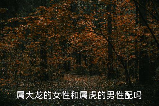 武漢保衛戰簡介，中山艦事件是誰制造的