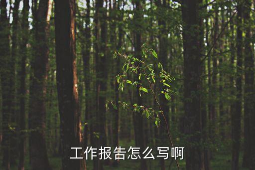 工作報告怎么寫啊