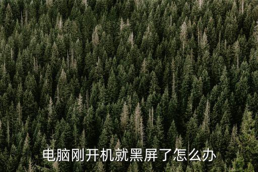 電腦開機后黑屏怎么解決，電腦剛開機就黑屏了怎么辦