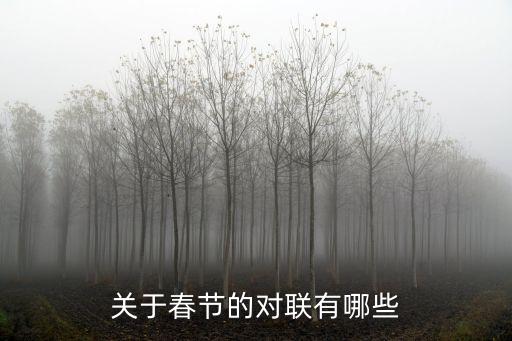 關(guān)于春節(jié)的對聯(lián)有哪些