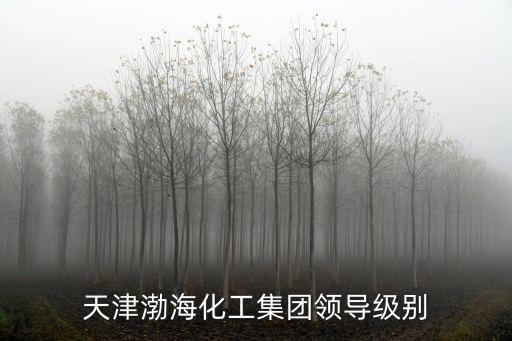 天津渤海化工集團(tuán)領(lǐng)導(dǎo)級(jí)別