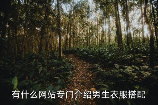 有什么網(wǎng)站專門介紹男生衣服搭配