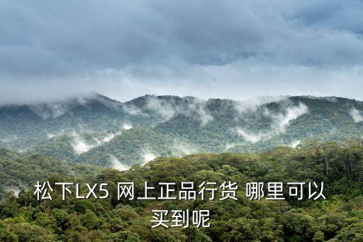 蘇寧易購(gòu) 松下 天津市西青區(qū)，松下SVSD870N 的MP3的充電器哪里有賣(mài)還是電腦連接線