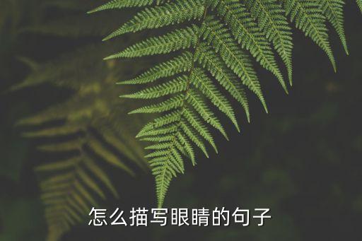 怎么描寫眼睛的句子
